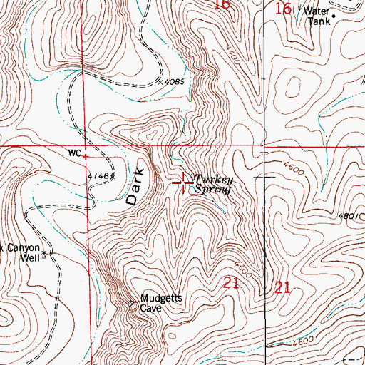 Topographic Map of Turkey Spring, NM