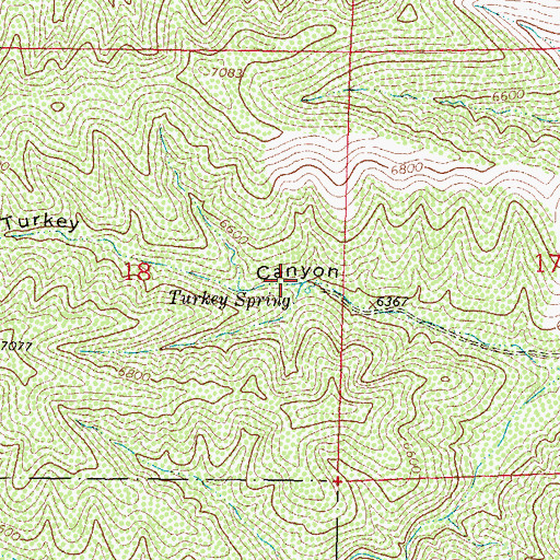 Topographic Map of Turkey Spring, NM