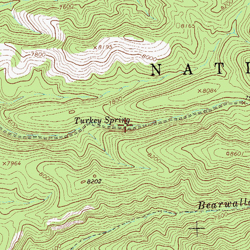 Topographic Map of Turkey Spring, NM