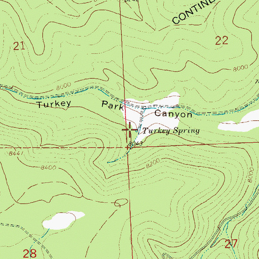 Topographic Map of Turkey Spring, NM