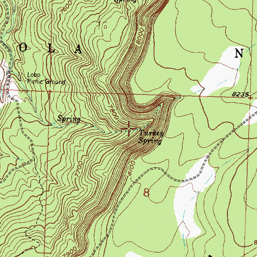 Topographic Map of Turkey Spring, NM