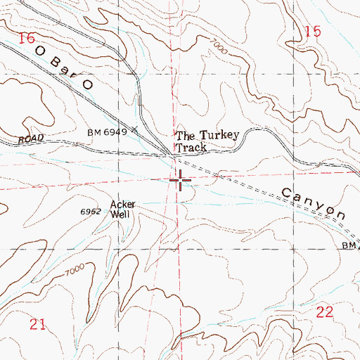 Topographic Map of Horse Camp Canyon, NM