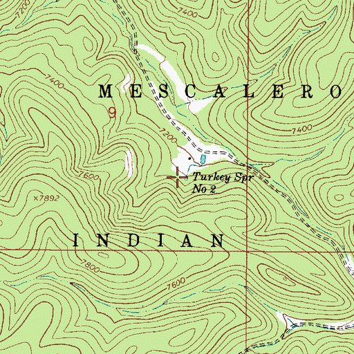 Topographic Map of Turkey Spring Number Two, NM