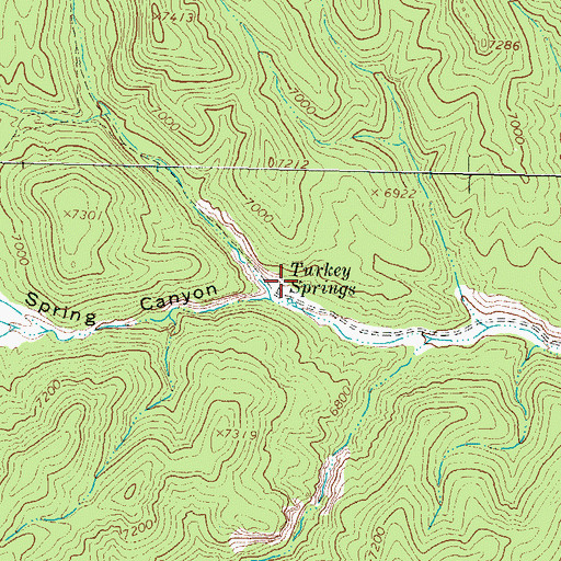Topographic Map of Turkey Springs, NM