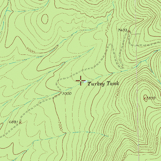 Topographic Map of Turkey Tank, NM