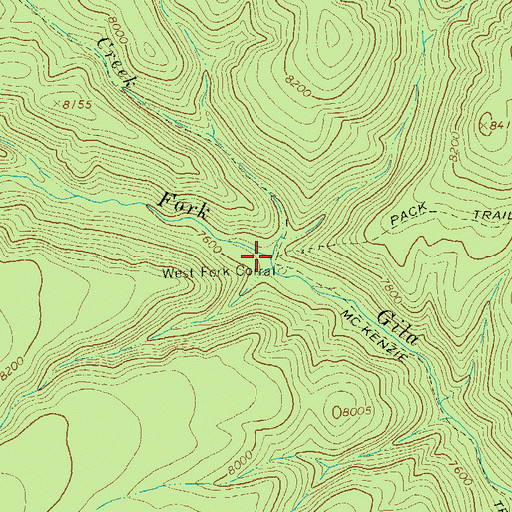 Topographic Map of Turkeyfeather Creek, NM