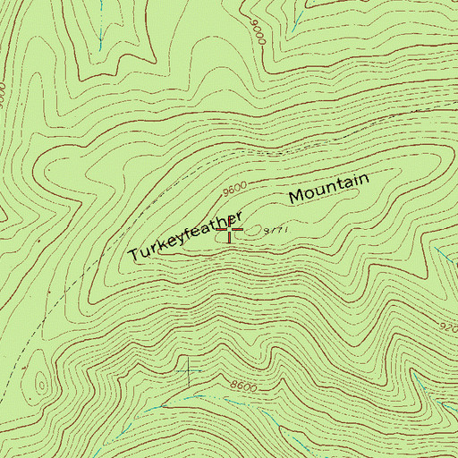 Topographic Map of Turkeyfeather Mountain, NM