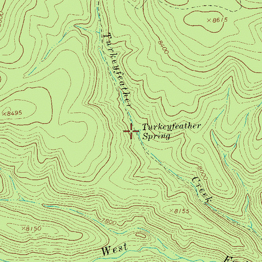 Topographic Map of Turkeyfeather Spring, NM