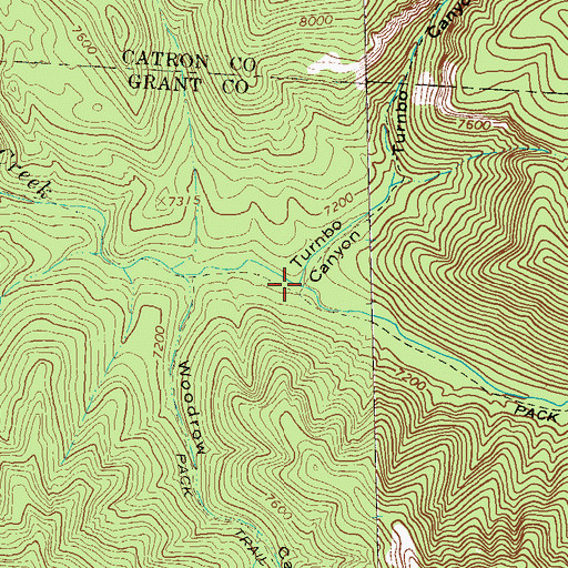 Topographic Map of Turnbo Canyon, NM