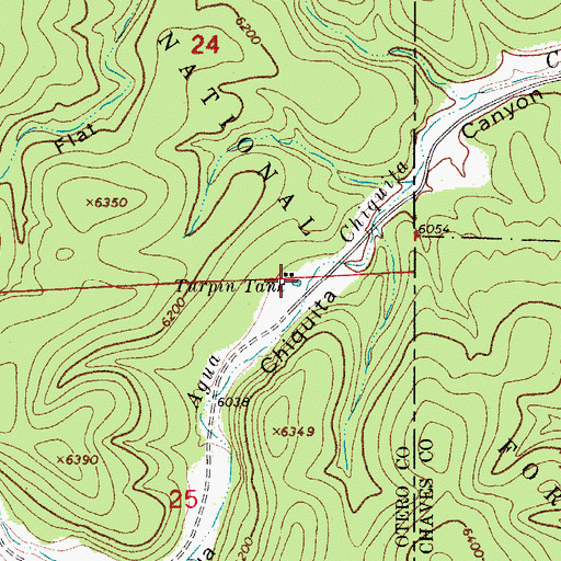 Topographic Map of Turpin Tank, NM