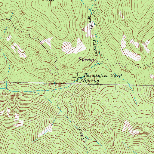 Topographic Map of Twentyfive Yard Spring, NM
