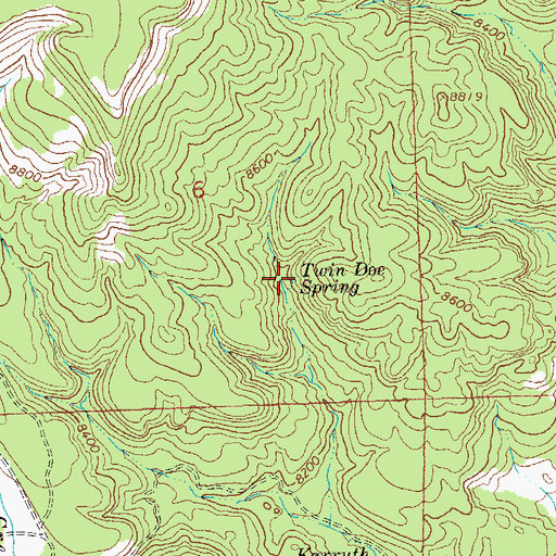Topographic Map of Twin Doe Spring, NM