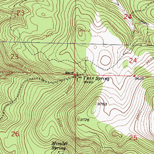 Topographic Map of Twin Spring, NM