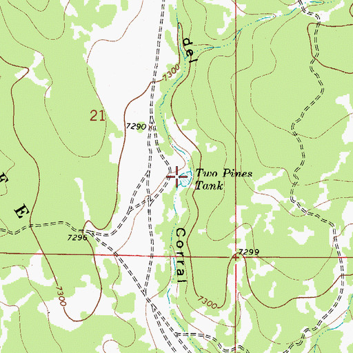 Topographic Map of Two Pines Tank, NM