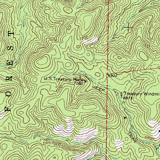 Topographic Map of United States Treasury Mine, NM
