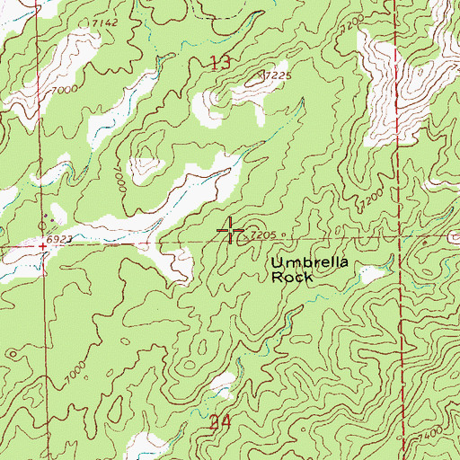 Topographic Map of Umbrella Rock, NM