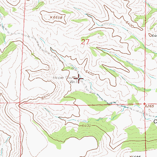 Topographic Map of Upper Coyote Well, NM