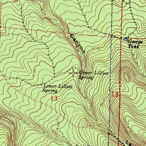 Topographic Map of Upper Lillies Spring, NM