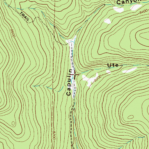 Topographic Map of Ute Canyon, NM