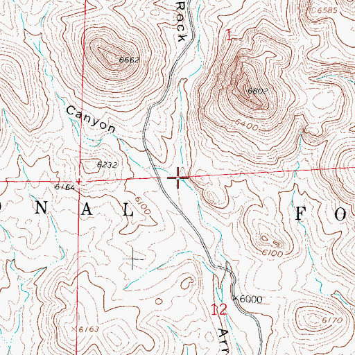 Topographic Map of Uvas Canyon, NM