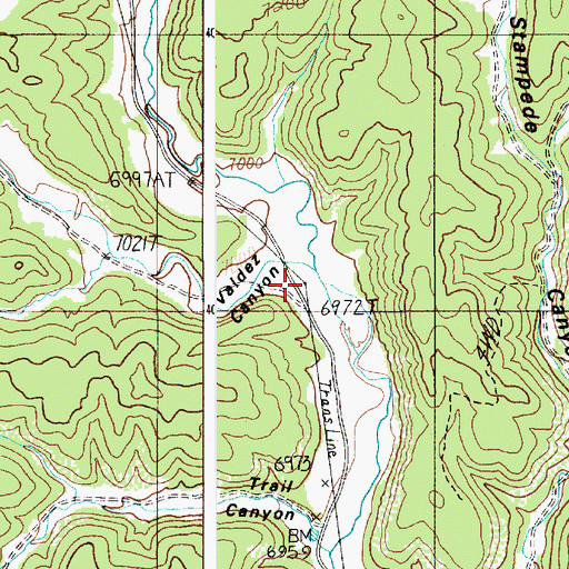 Topographic Map of Valdez Canyon, NM