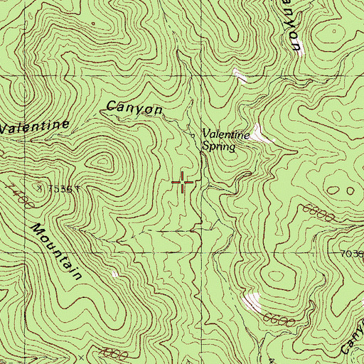 Topographic Map of Valentine Canyon, NM