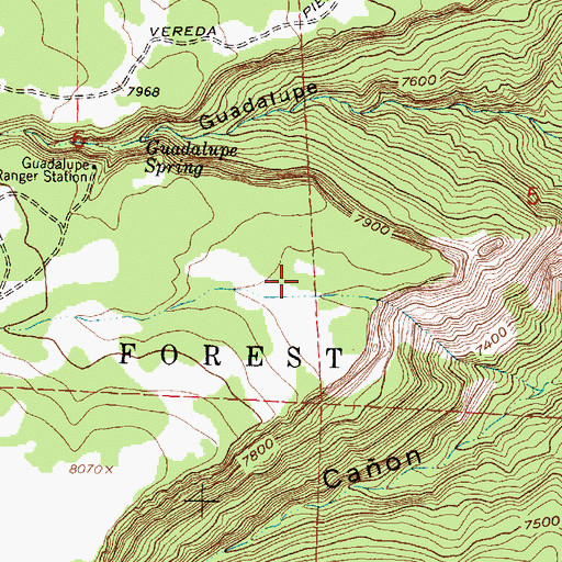 Topographic Map of Valle de las Animas, NM