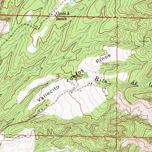 Topographic Map of Vallecito de los Pinos, NM