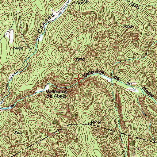 Topographic Map of Vallecitos de en Medio, NM