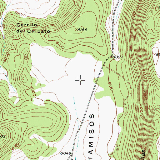 Topographic Map of Vallecitos De Los Chamisos, NM