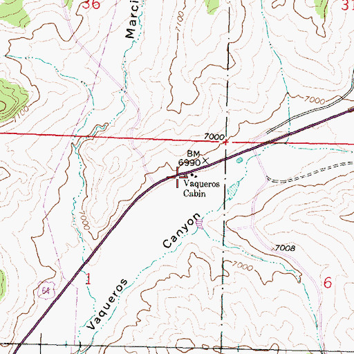 Topographic Map of Vaqueros Cabin, NM