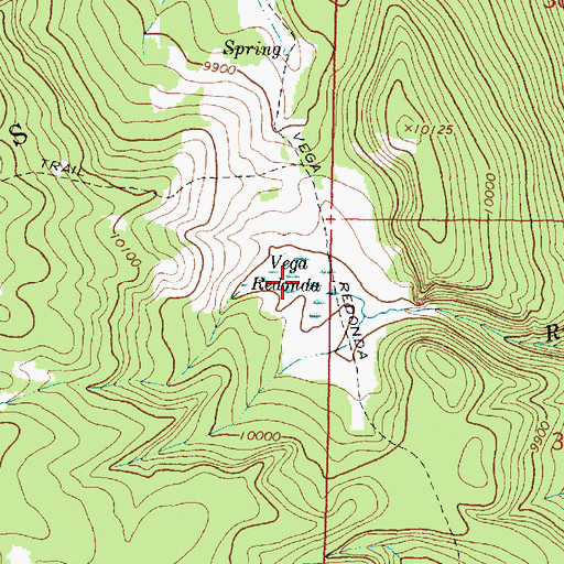 Topographic Map of Vega Redonda, NM