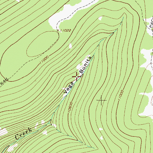 Topographic Map of Vegas Bonita, NM