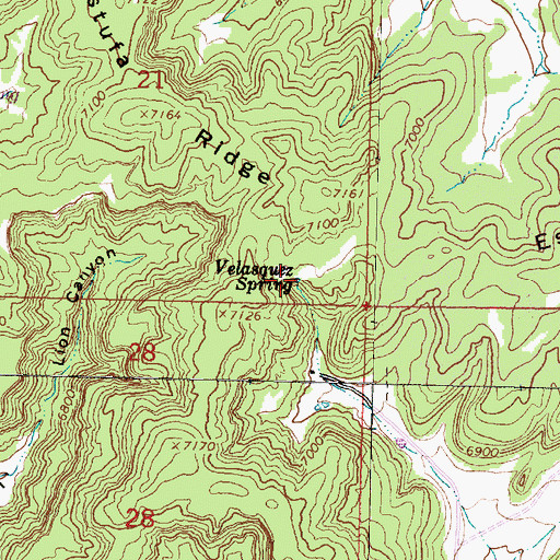 Topographic Map of Velasquez Spring, NM