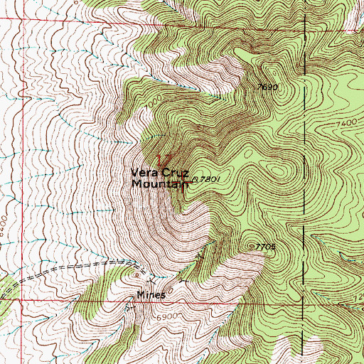 Topographic Map of Vera Cruz Mountain, NM