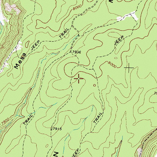 Topographic Map of Virgin Mesa, NM