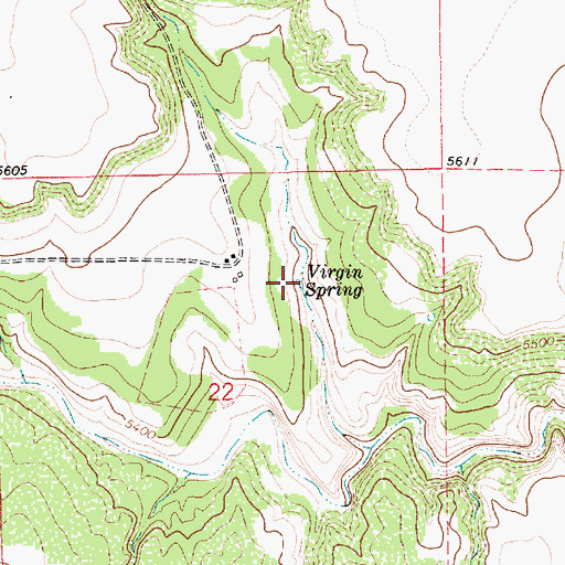 Topographic Map of Virgin Spring, NM