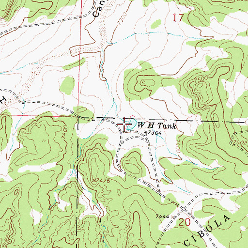 Topographic Map of W H Tank, NM