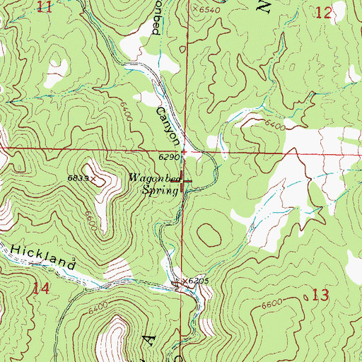 Topographic Map of Wagonbed Spring, NM