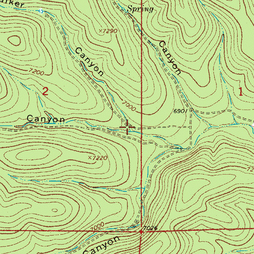 Topographic Map of Walker Canyon, NM