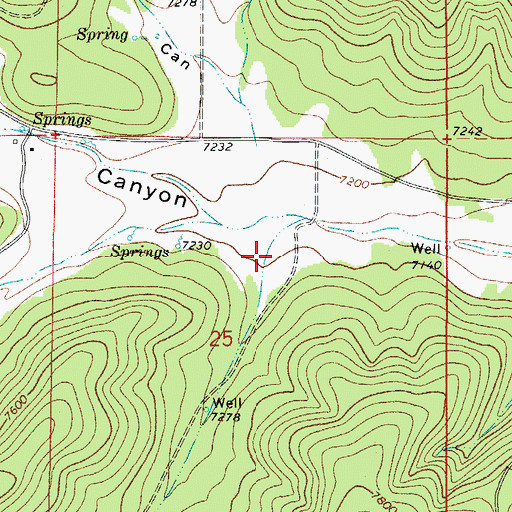 Topographic Map of Walker Canyon, NM