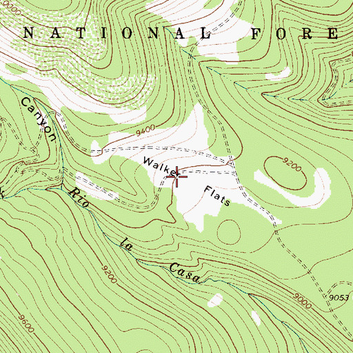 Topographic Map of Walker Flats, NM