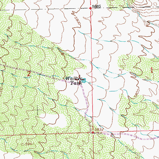 Topographic Map of Walker Tank, NM