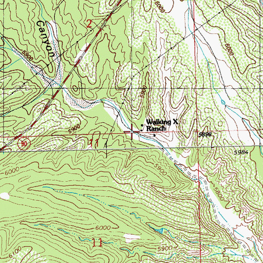 Topographic Map of Walking X Ranch, NM