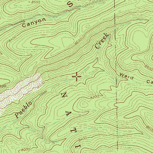 Topographic Map of Ward Canyon, NM