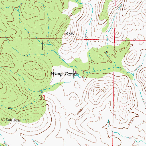 Topographic Map of Wasp Tank, NM