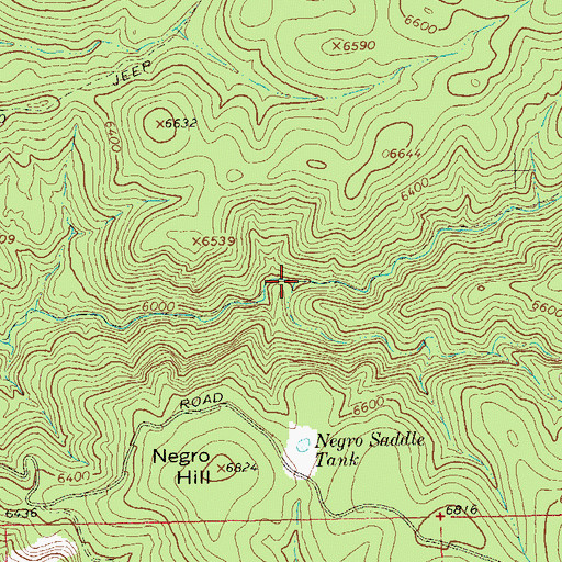 Topographic Map of Water Canyon, NM