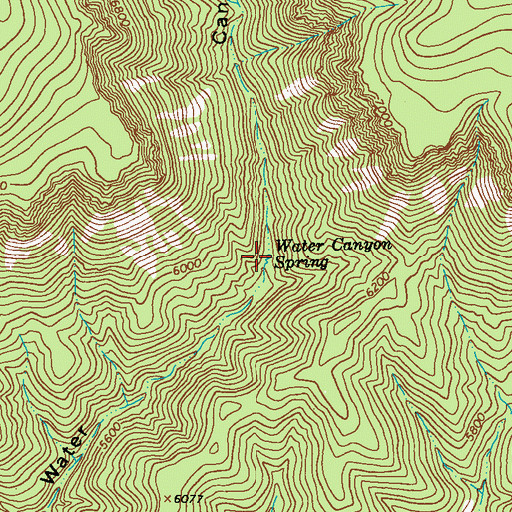 Topographic Map of Water Canyon Spring, NM