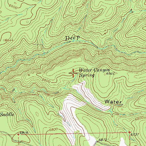 Topographic Map of Water Canyon Spring, NM