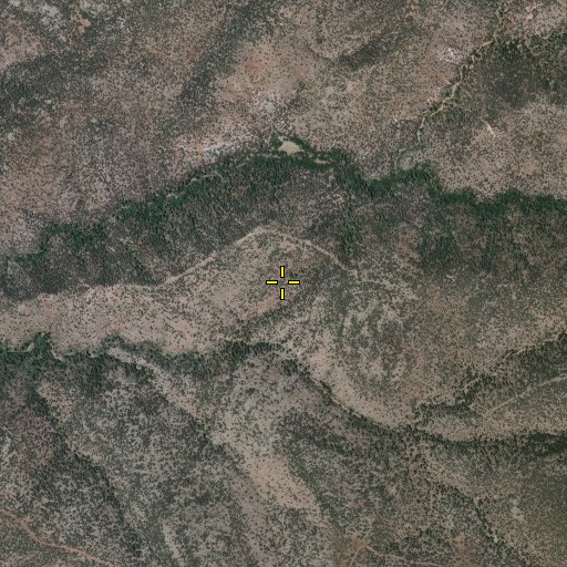Aerial/Satellite Image of Water Canyon Spring, NM